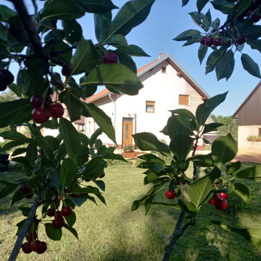 Kuca Za Odmor Boki Villa Gospić Exteriör bild